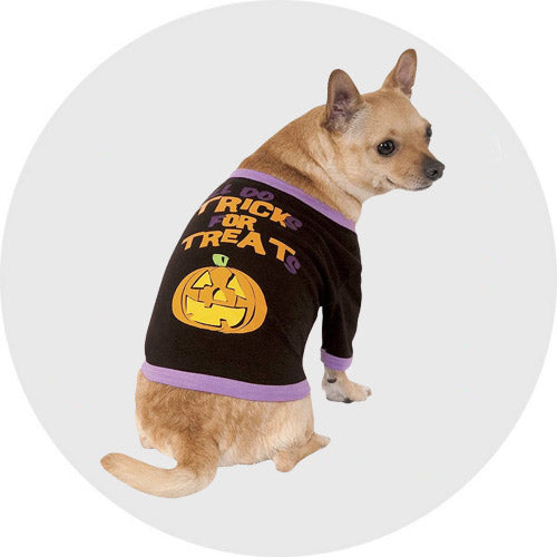 Pet's Halloween Costumes