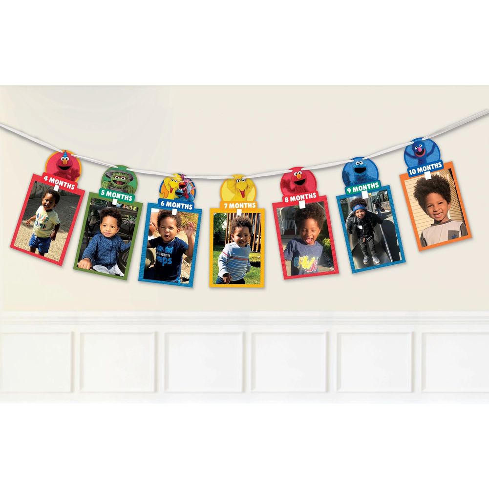 Everyday Sesame Street Photo Banner Kit