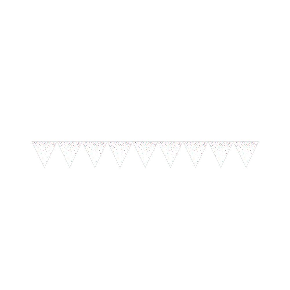 Iridescent Party Pennant Banner