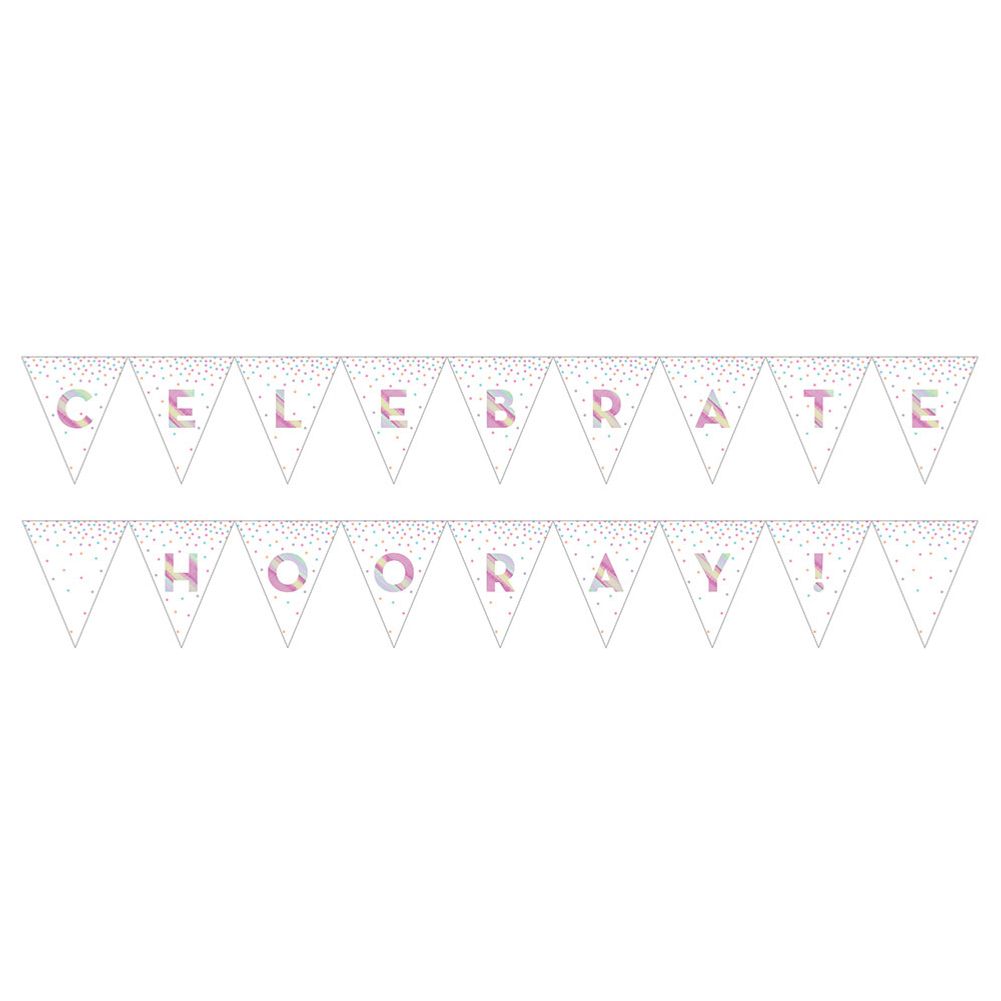 Iridescent Foil Pennant Banner