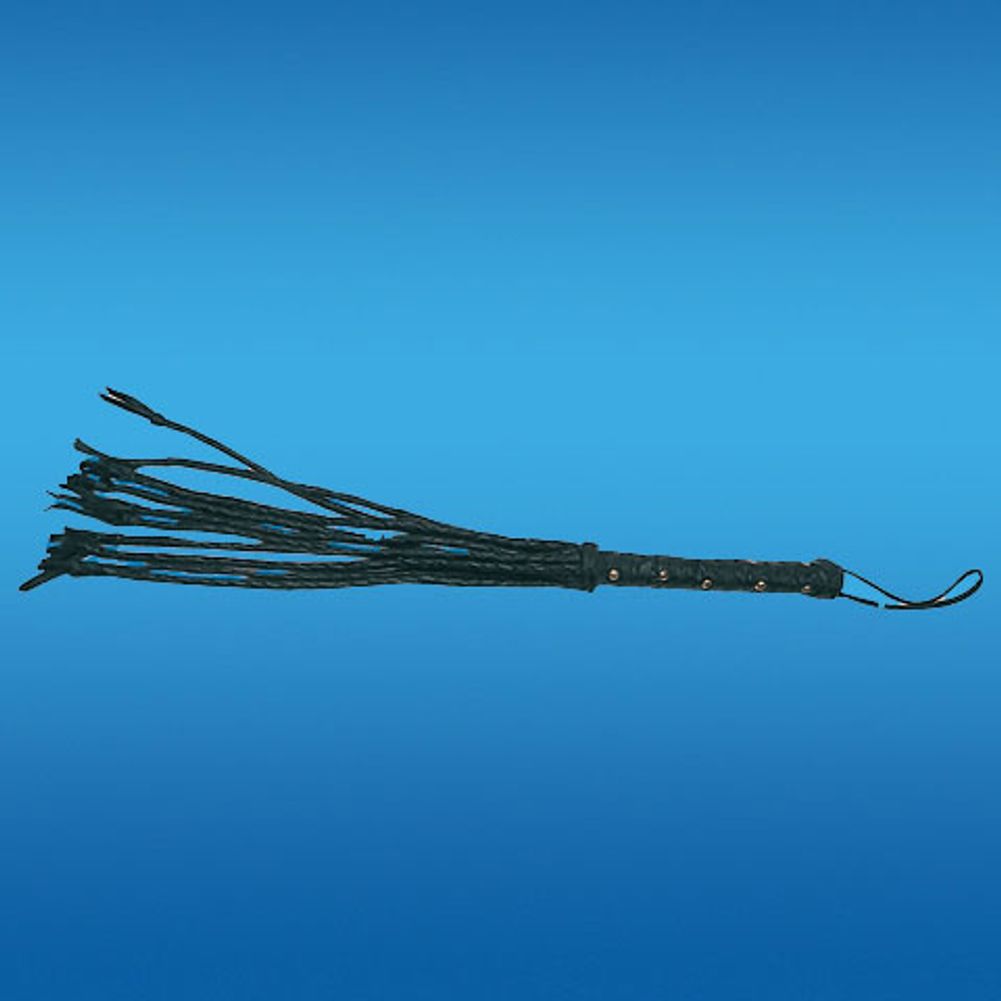 Cat of 9 Tails
