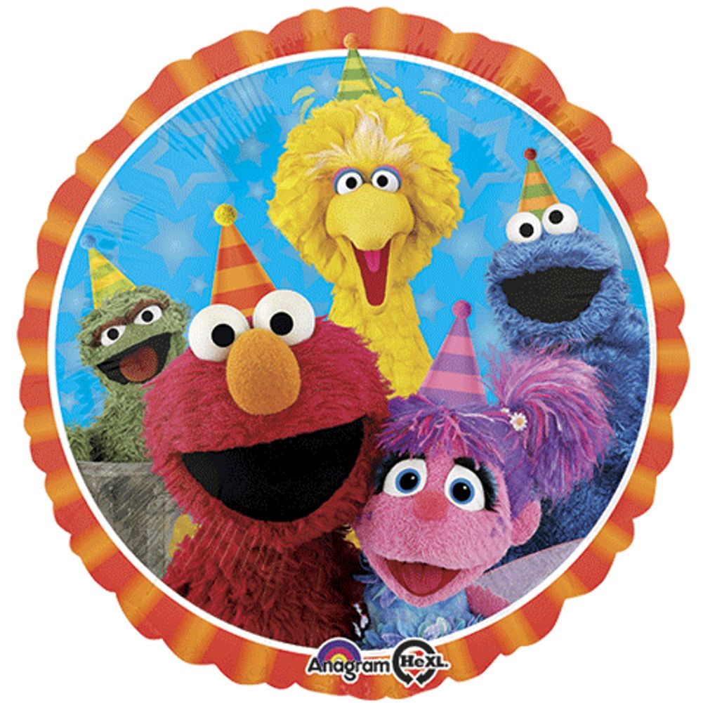 18" SESAME STREET FUN HX
