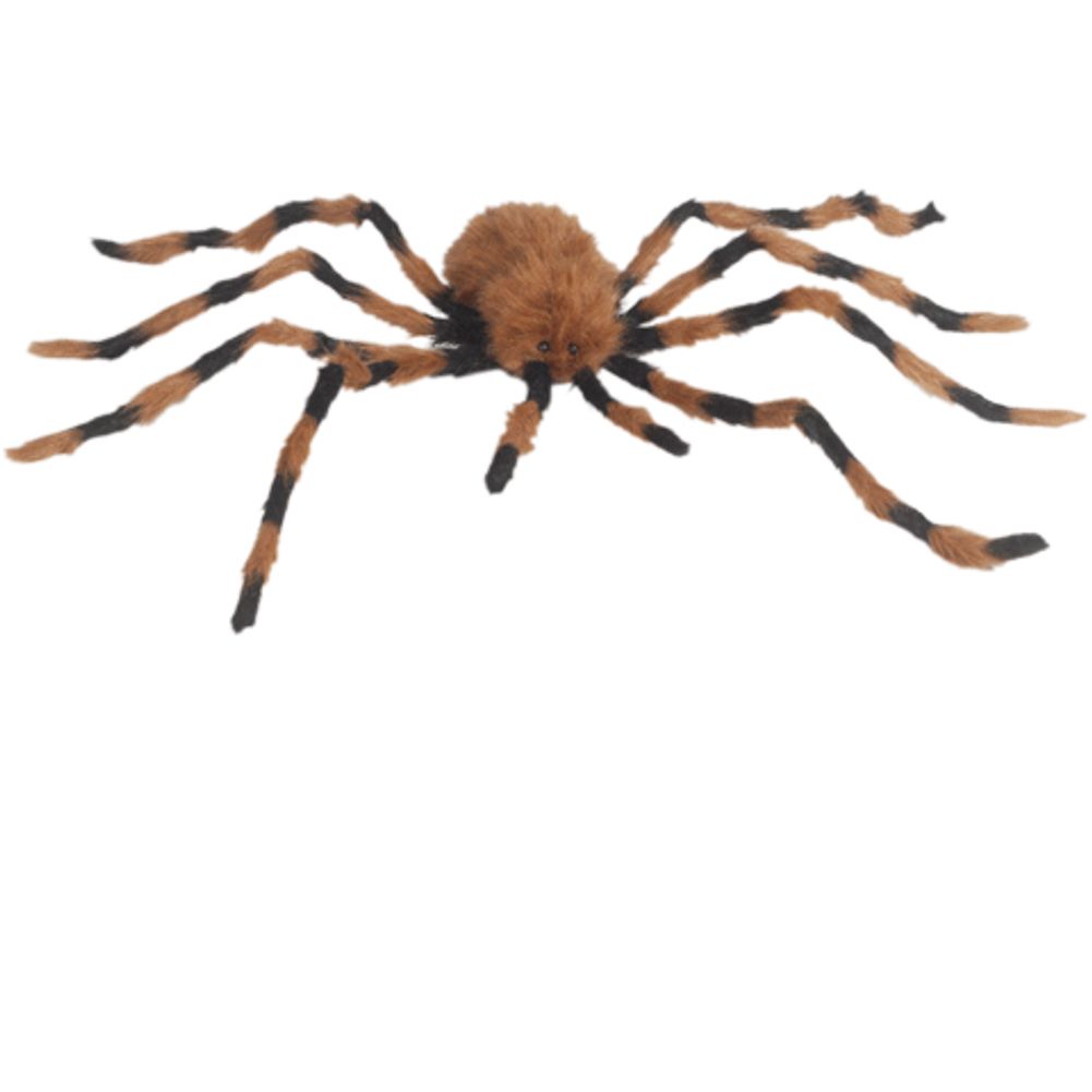 41" BLACK/BROWN SPIDER