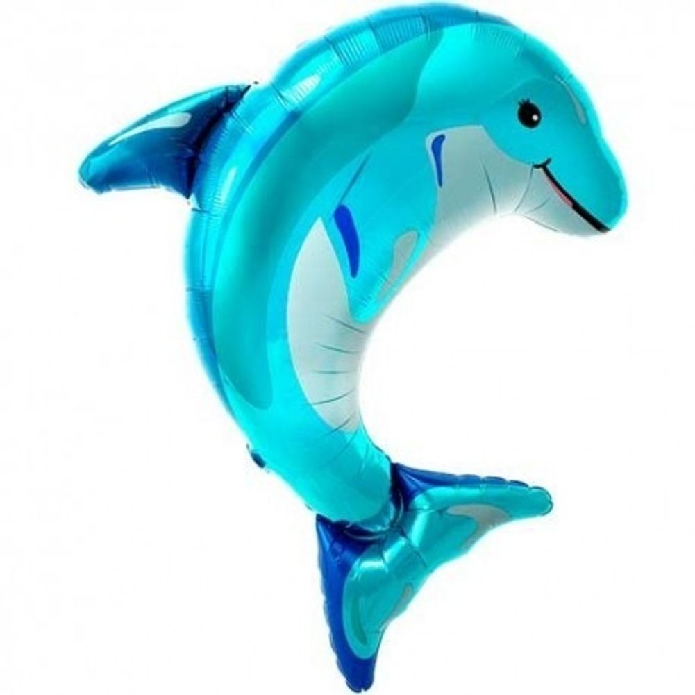 31" Blue Dolphin