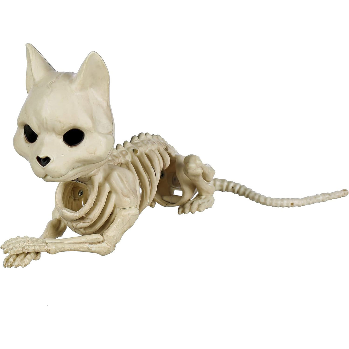 Cute Laying Cat Skeleton, 5.25"