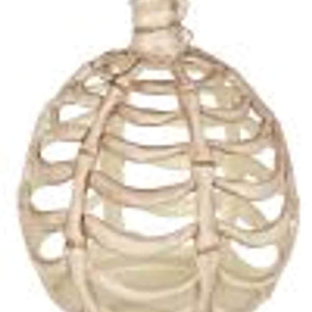Crazy Bonez Bone Pumpkin Decoration, 6"