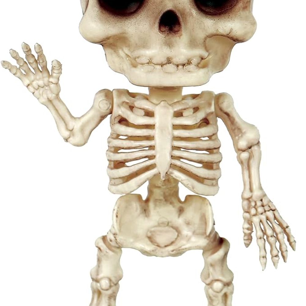 Crazy Bonez Franky Skeleton Figurine