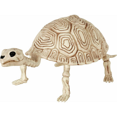 Turtle Skeleton 5.5