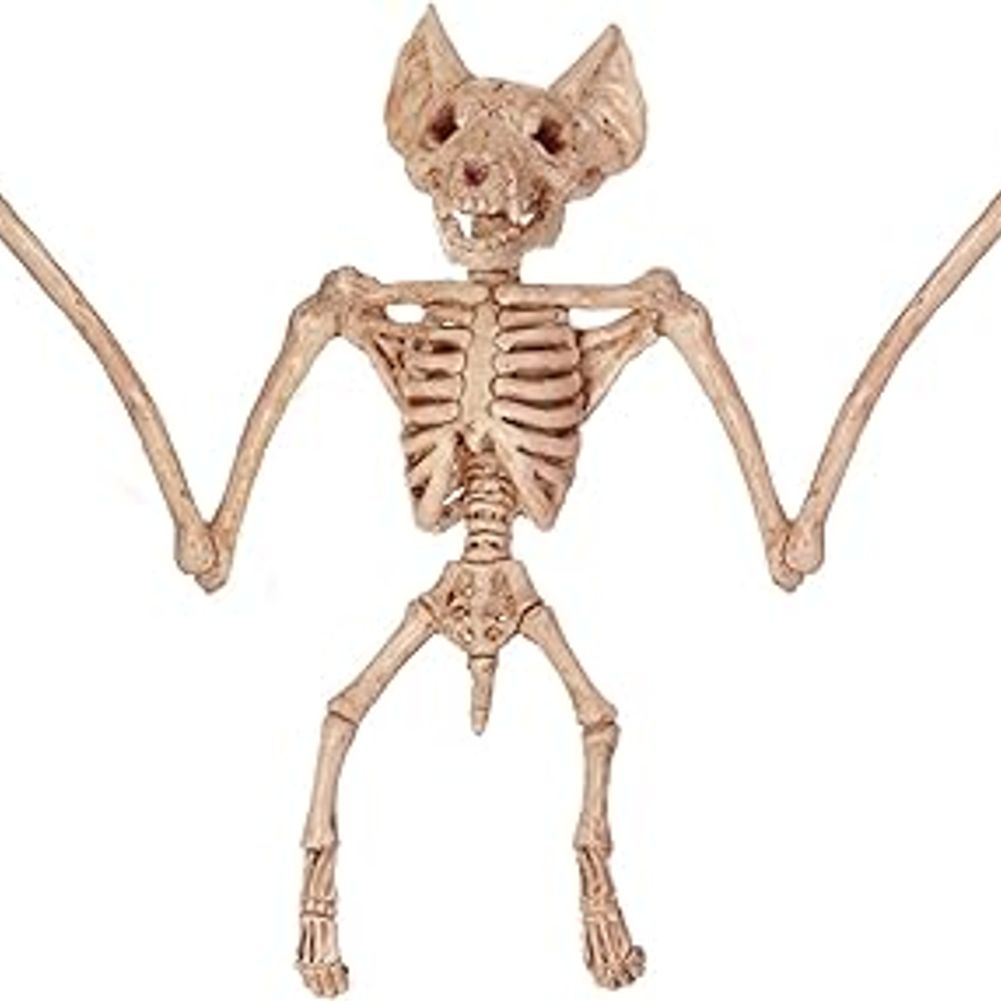 Skeleton Small Bat