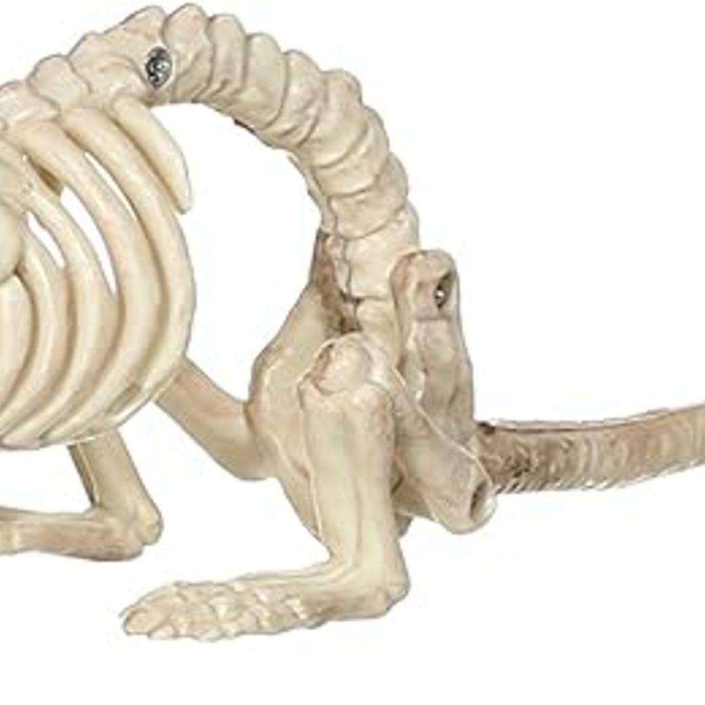 MOUSE CRAWLING SKELETON