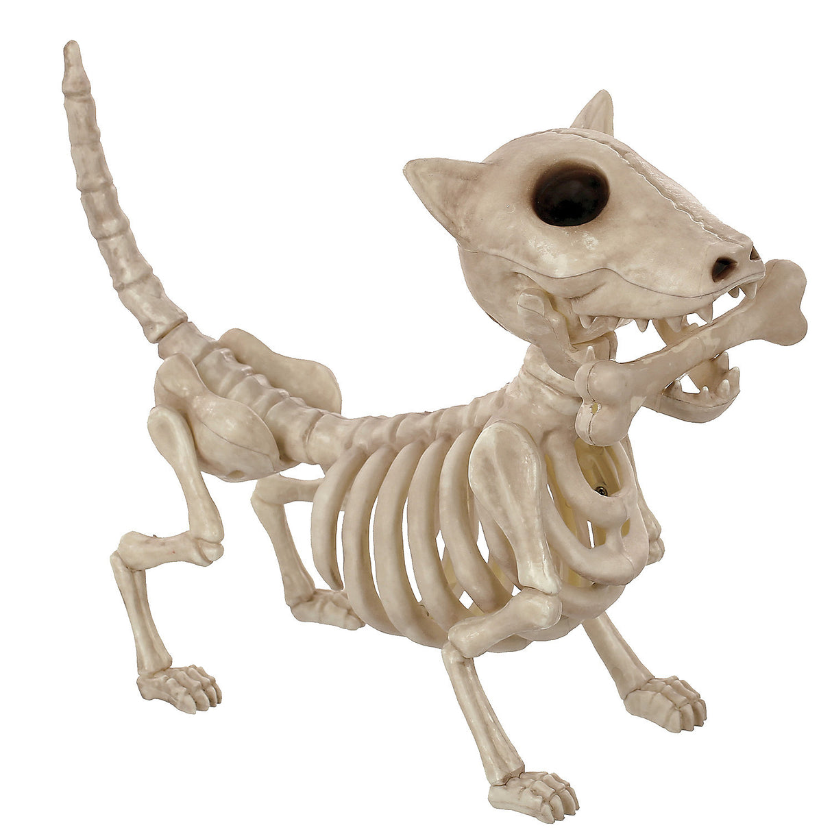 Digger the Dog Skeleton 10.5"