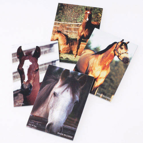 Horse Note Pads