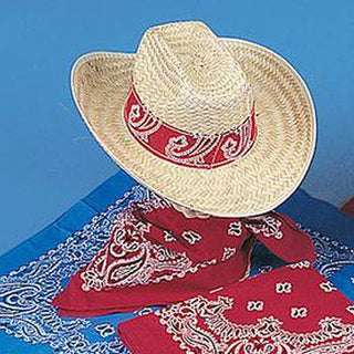 Pinch Top Luau Hat