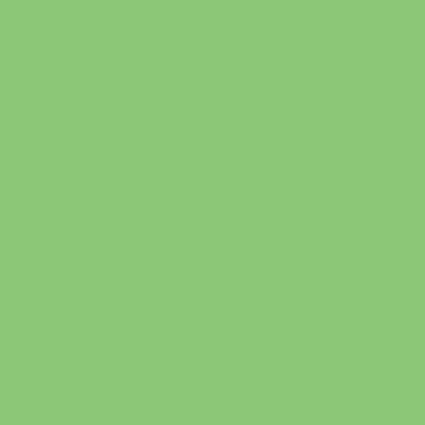 Kiwi Gift Wrap