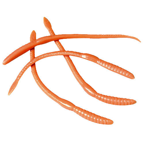 Worms