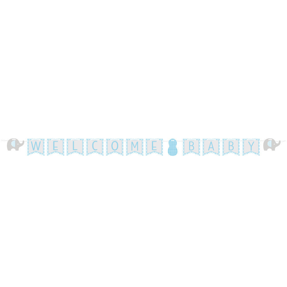 Little Peanut Boy Banner