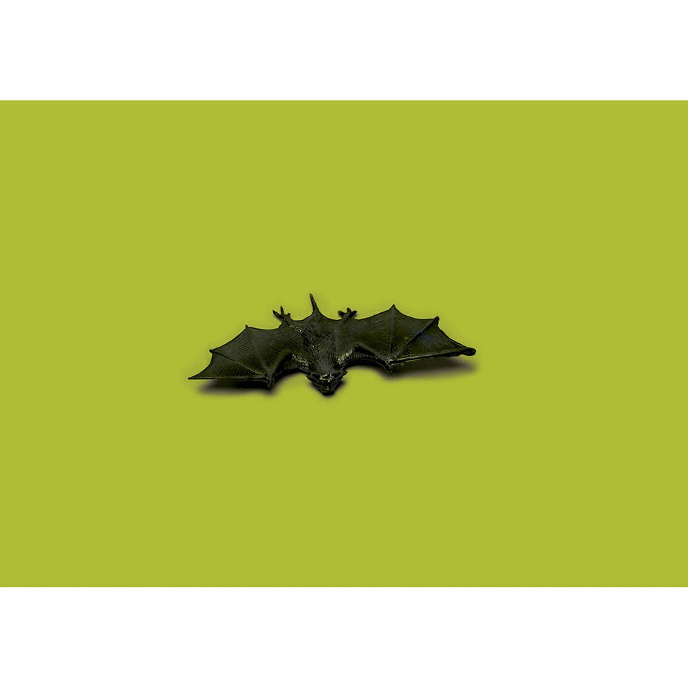 Plastic Bat