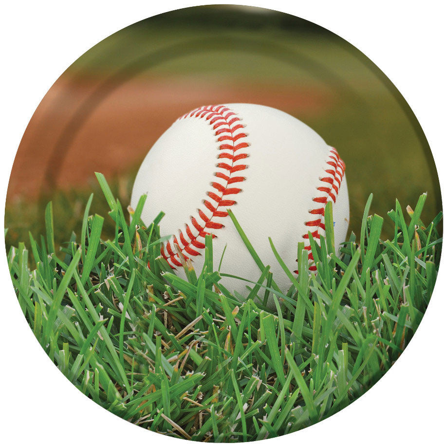 Baseball Sports Fanatic Dinner Plates (8ct)