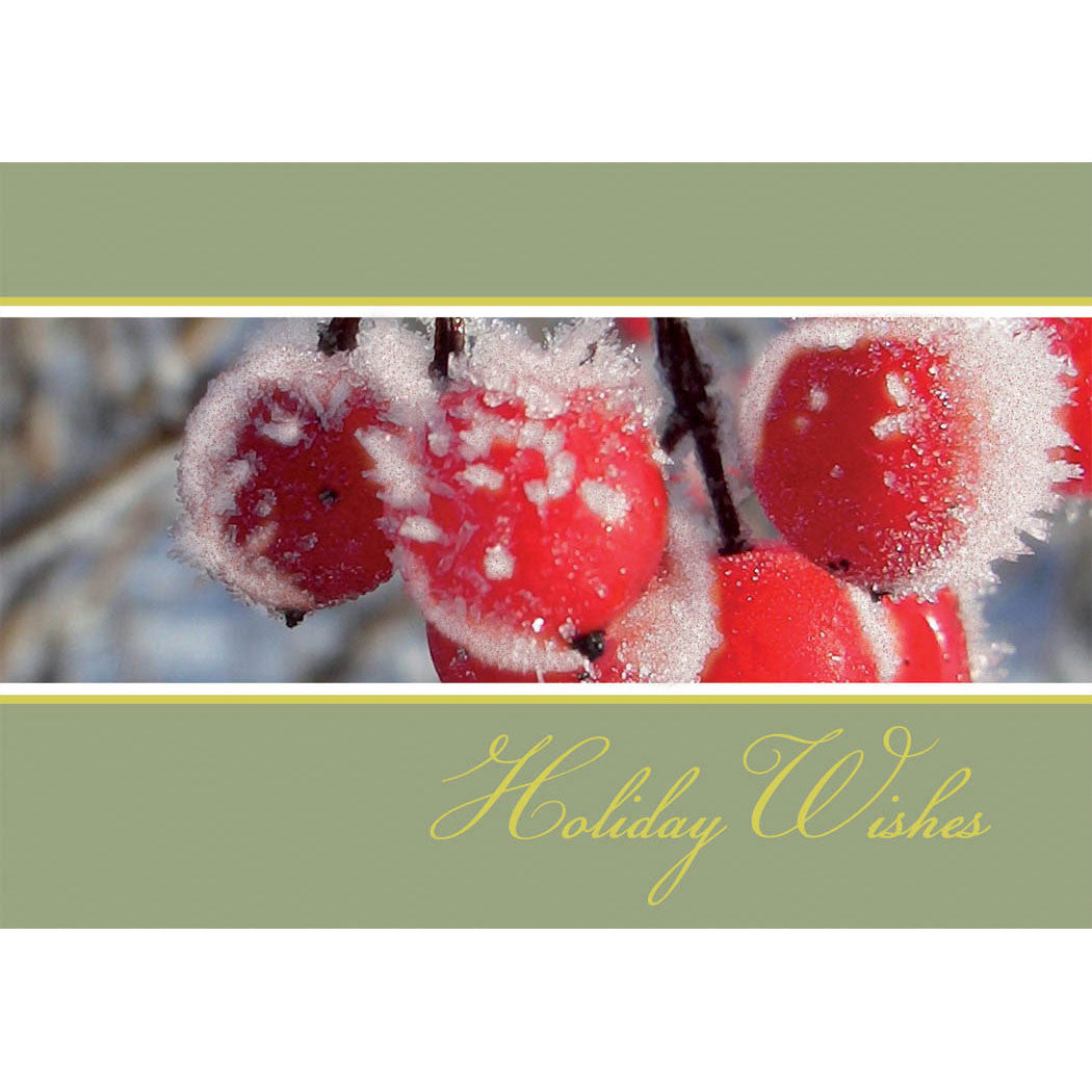 Winter Berry Season Greeting Cards (18ct)