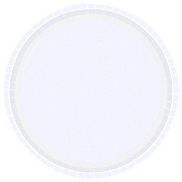 Frosty White Paper Dinner Plates (16ct)