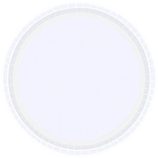 Frosty White Paper Dinner Plates (16ct)