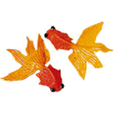 Goldfish