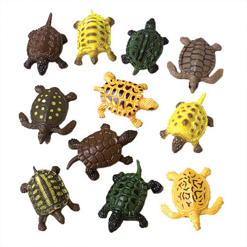 Mini Turtles