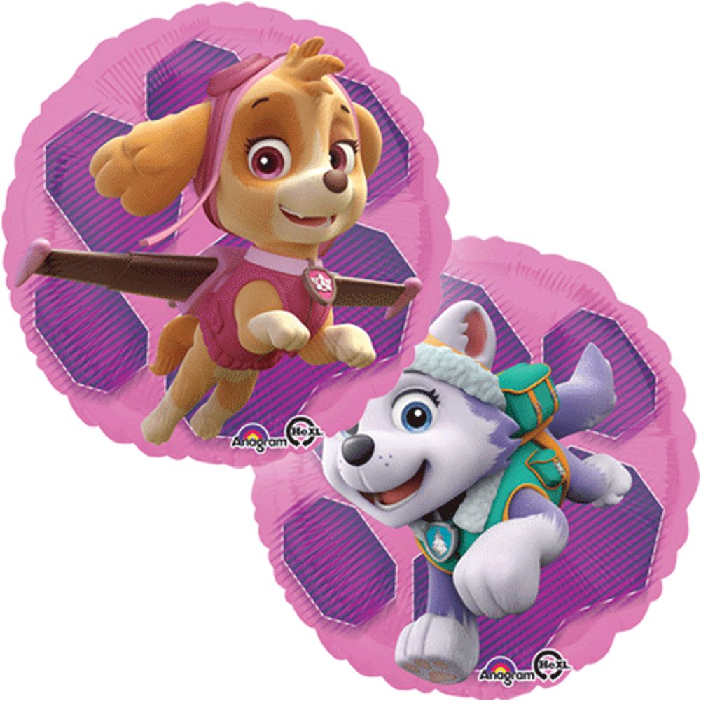18" Paw Patrol Sky & Everest Foil Balloon (1ct)
