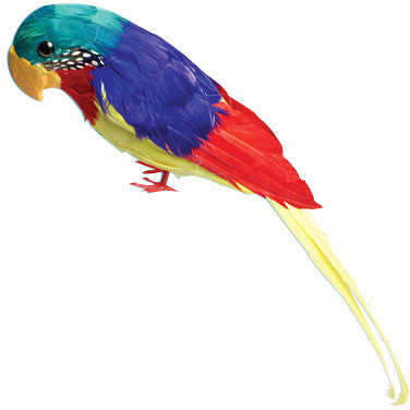Feather Parrot (1ct)