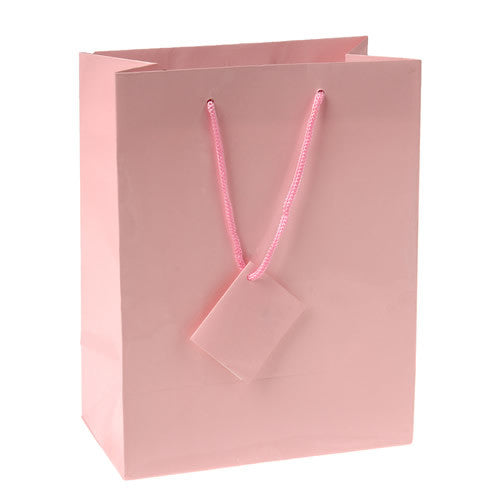 Medium Plastic Gift Bags – US Novelty