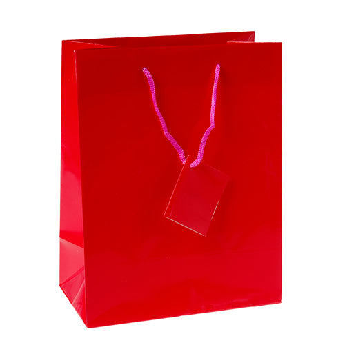 Magenta Medium Gift Bags