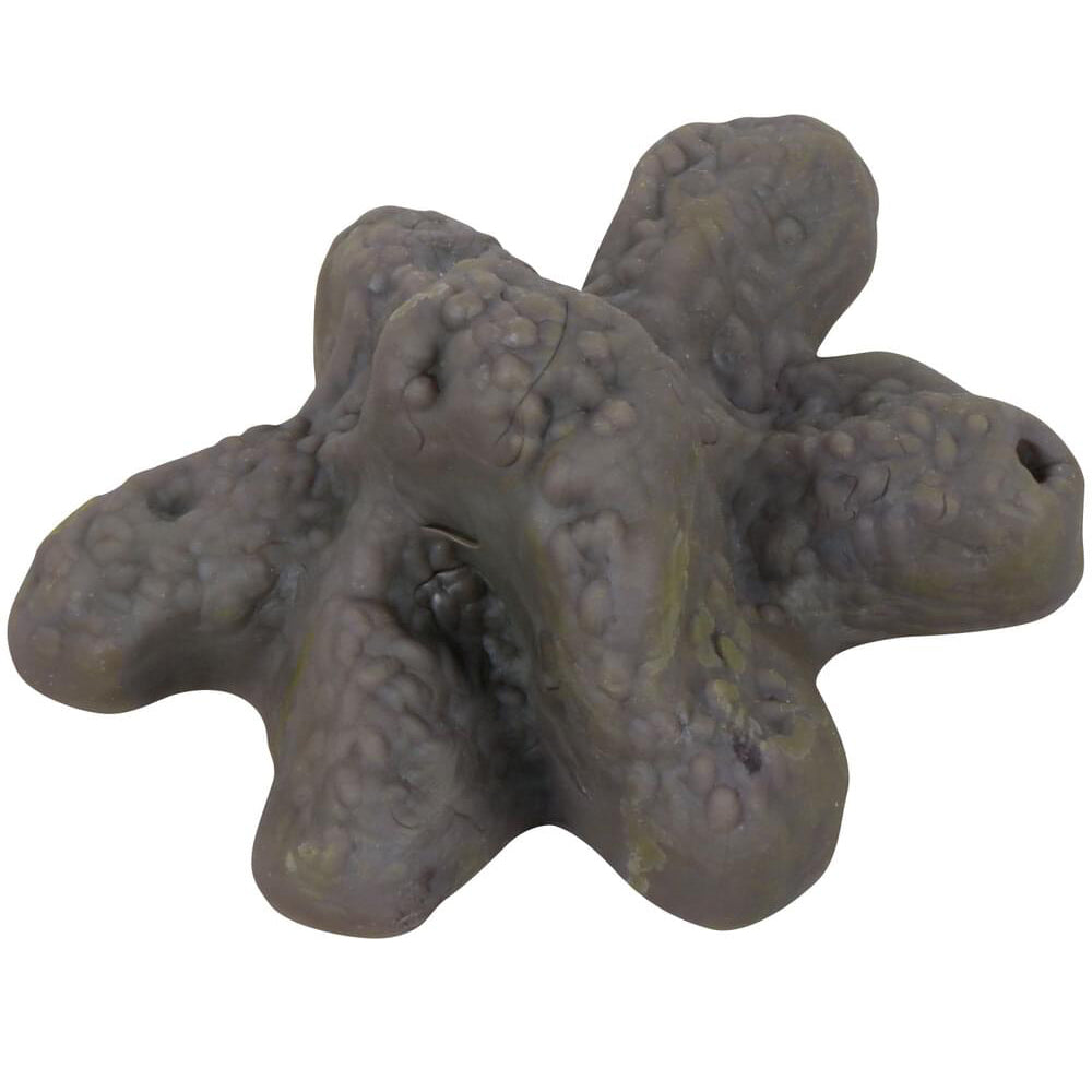 Doggie Doo