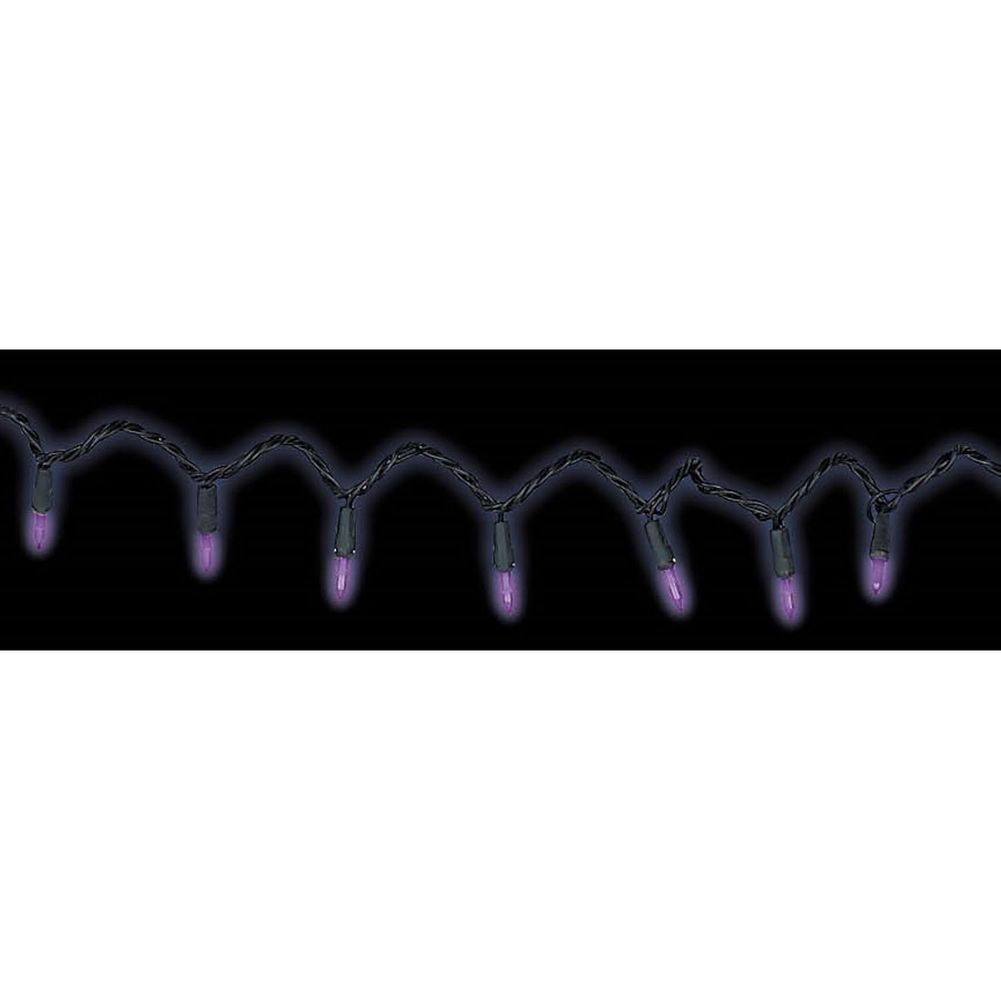 Purple Light Set