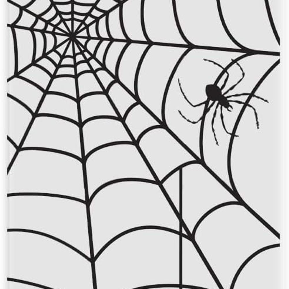 Spiderweb Door Decoration (1ct)