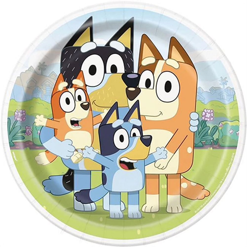 Bluey 9