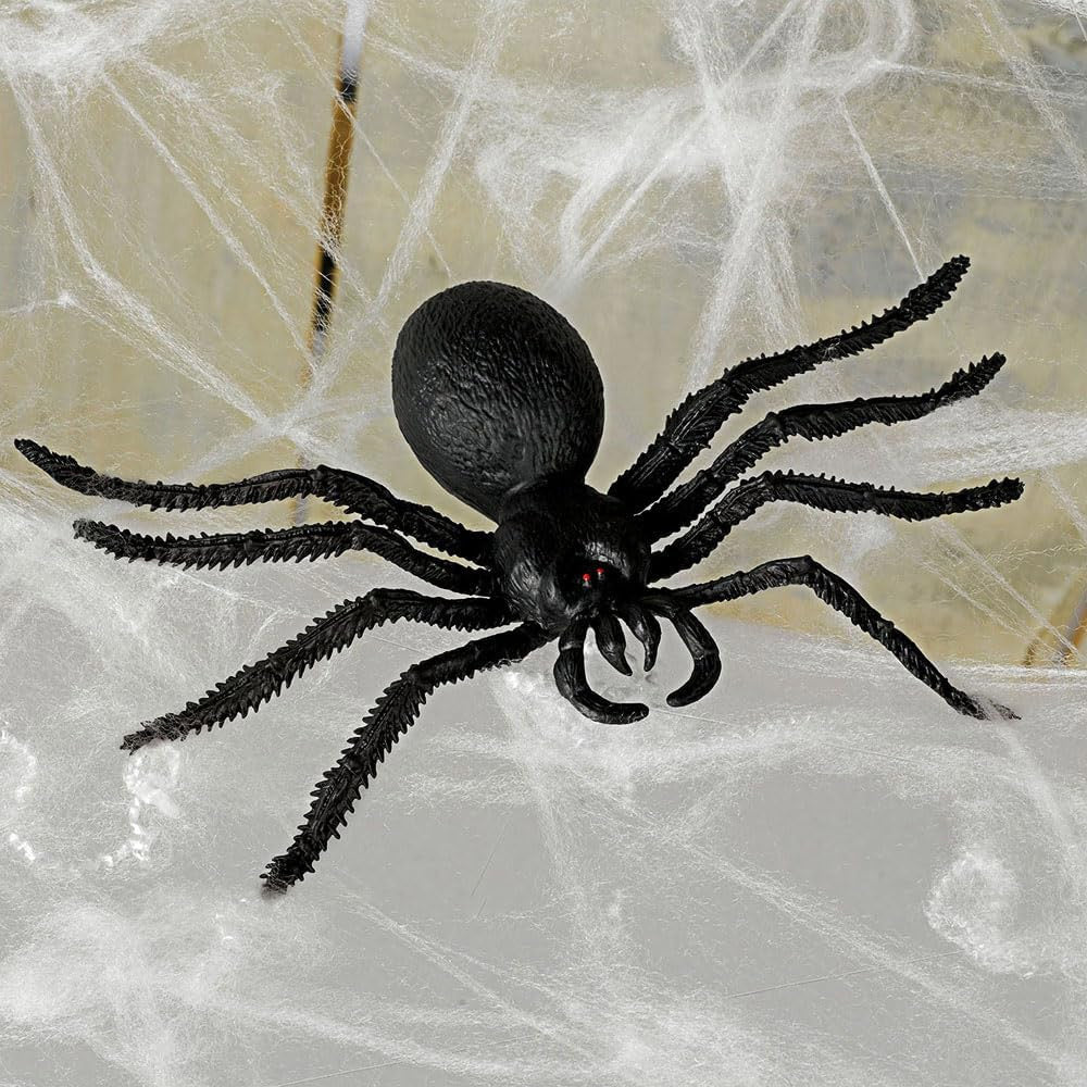 Big Spider and Web