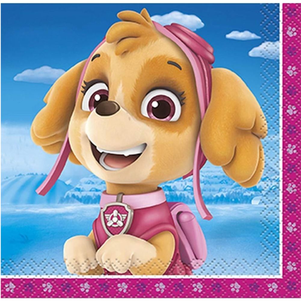 Paw Patrol Girl Beverage Napkins (16ct)