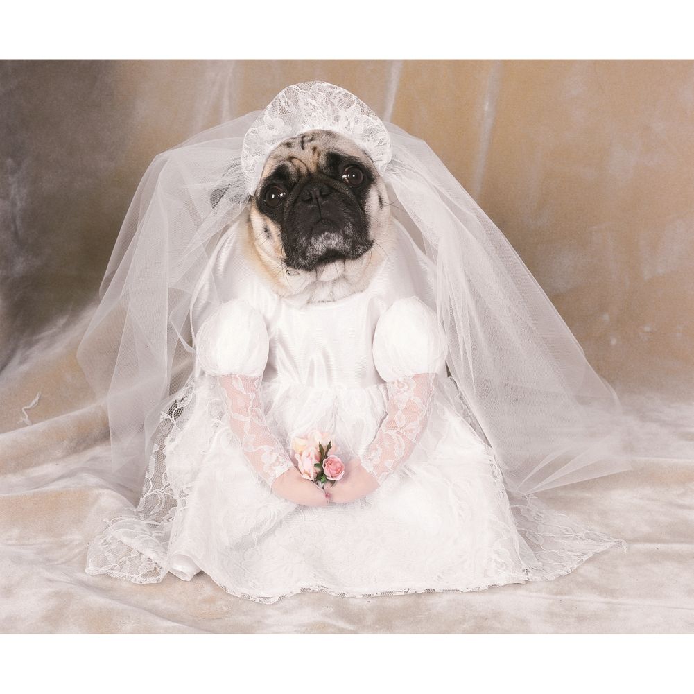Bride Pet Costume Medium