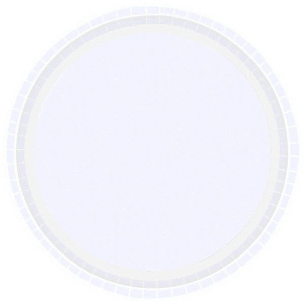 Frosty White Paper Dinner Plates (16ct)