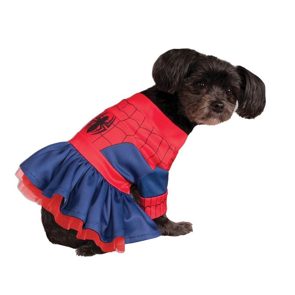 Spider-girl Costume