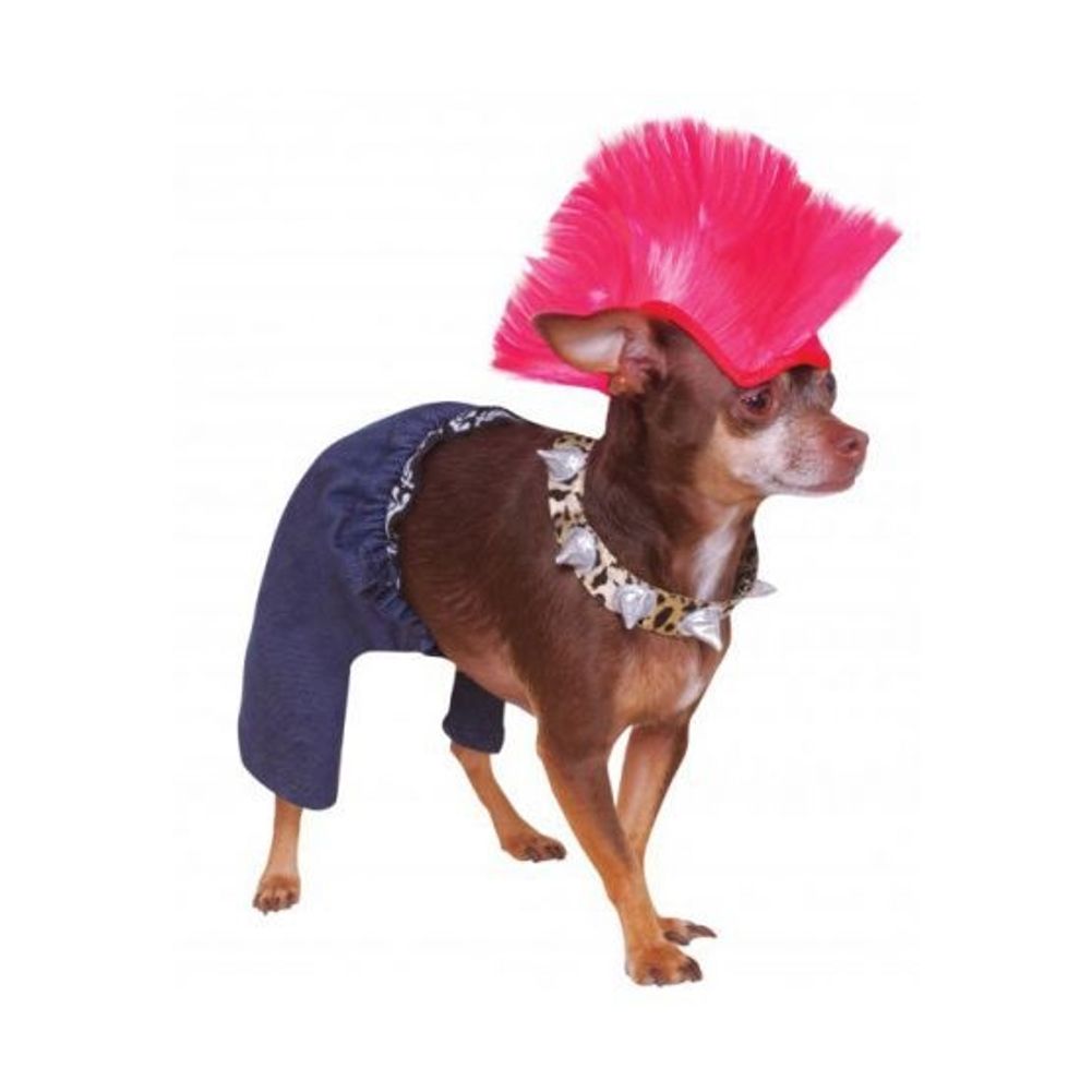 Punk Rocker Pet Costume