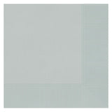 Silver 2-Ply Beverage Napkins (40ct)