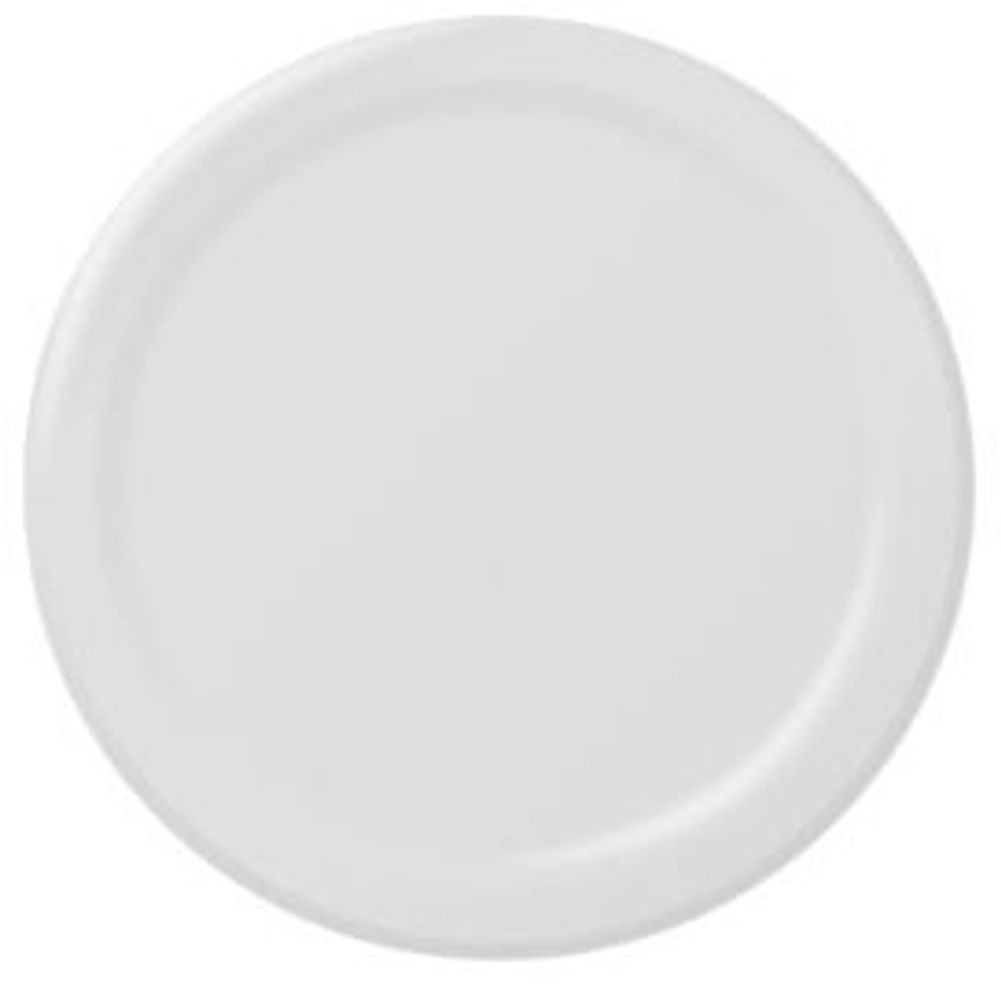 Frosty White Dinner Paper Plates (50ct)