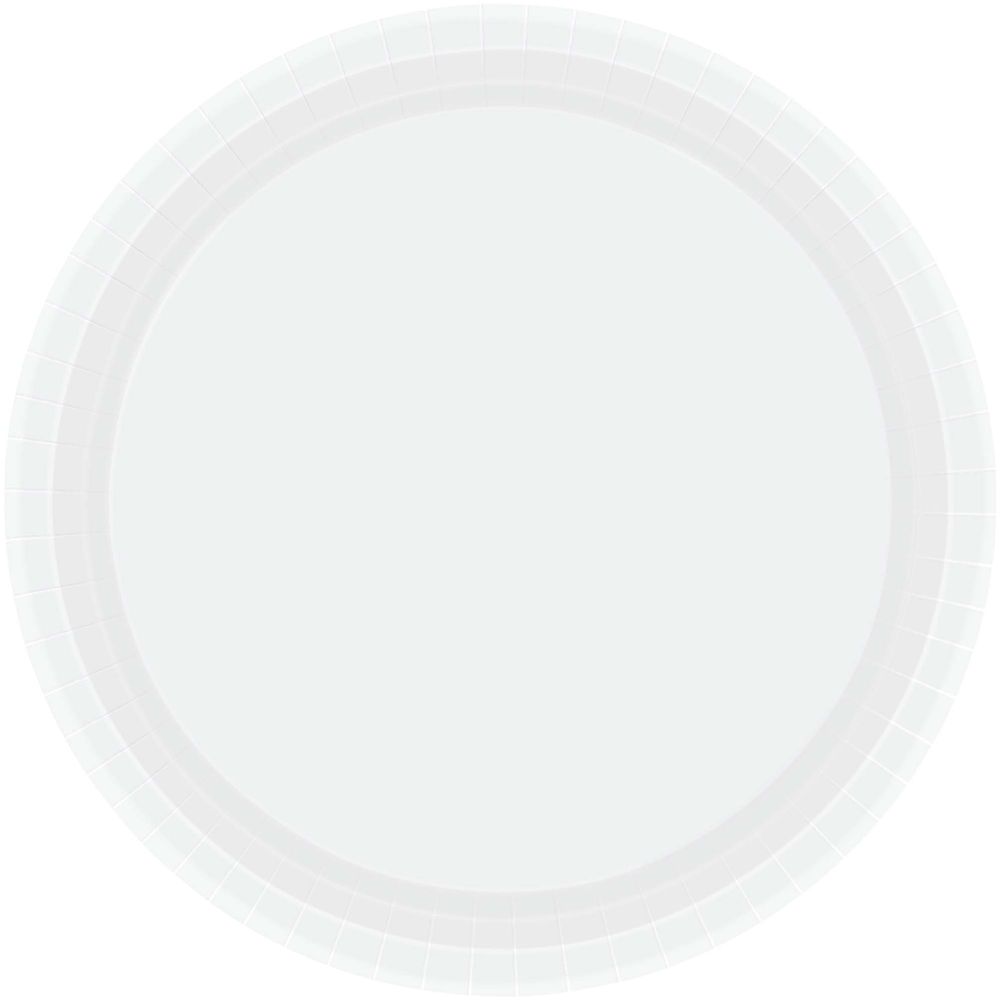 Frosty White Dinner Paper Plates (20ct)