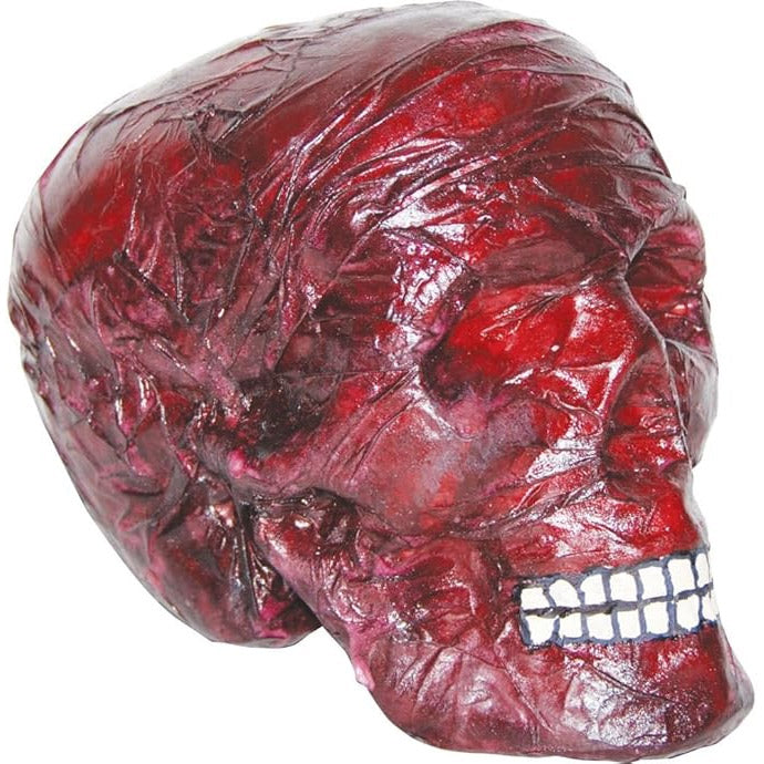Burnt Flesh Skull