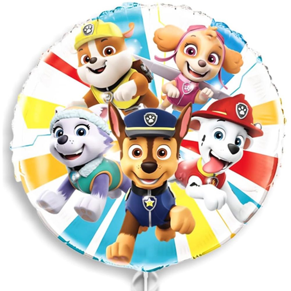 Paw Patrol 18