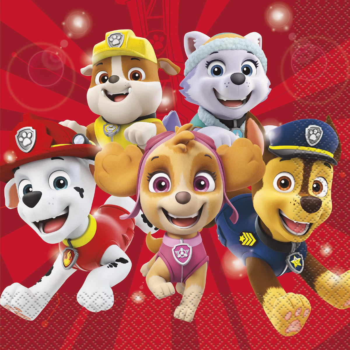 Paw Patrol Birthday Party Kit for 16 – 9 Inch Plates, Napkins, Table Cover, Banner, Balloons and Party Masks (58 pc) – photo 4