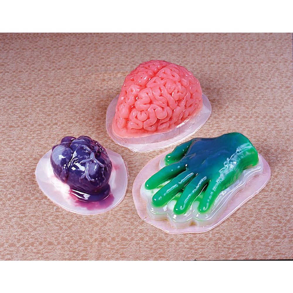 Brain Gelatin Mold