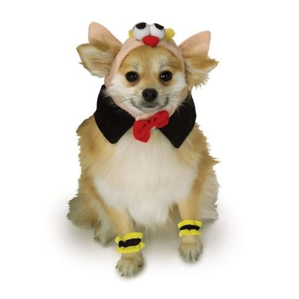 Vampire Pet Costume