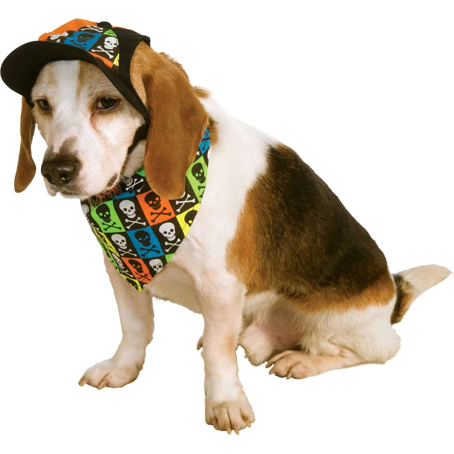 Pet Neon Hat and Bandana Set, Medium/Large